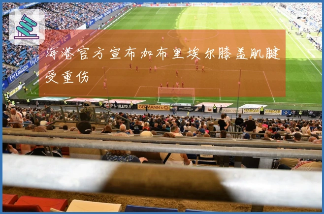 海港官方宣布加布里埃尔膝盖肌腱受重伤