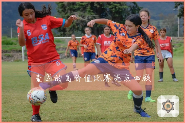奎因的高价值比赛亮点回顾