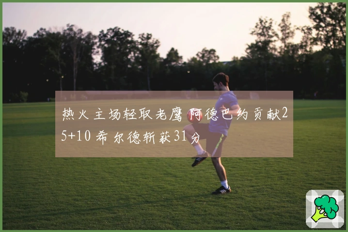 热火主场轻取老鹰 阿德巴约贡献25+10 希尔德斩获31分